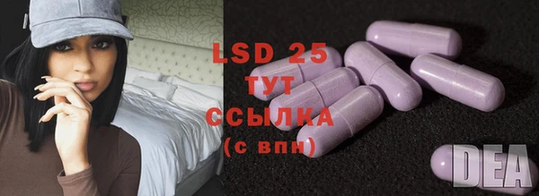 гашик Горняк