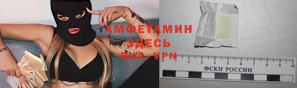 гашик Горняк