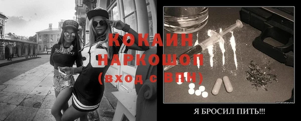 гашик Горняк